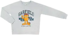 Garfield naisten collegepaita - HARMAA - 1