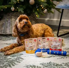 Rosewood jouluinen herkkusukka koirille - 6