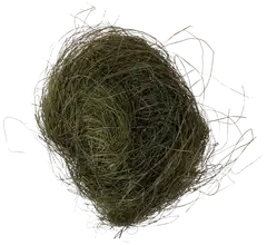 Rayher Hobby ruohokuitu, tummanvihreä, pussi 20g - 1