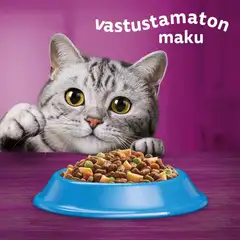 Whiskas 1+ Tonnikalaa 800g - 3