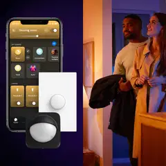 Philips Hue Surimu -paneelivalo 40W 2000-6500K 2850LM pyöreä - 5