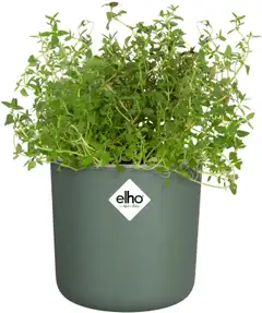 Elho yrttiruukku happy herbs 15 cm - 2