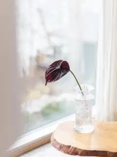 Tekokukka Bloom Deco Flamingonkukka - 3