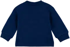 Ciraf vauvojen collegepusero Talvimetsä 250B262950 - Naval Academy - 2