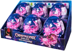 CrystaLynx Aksolotli Lajit. - 6