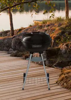 Mustang hiiligrilli Basic 43 - 5