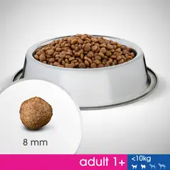 Perfect Fit Adult 1+ Kanaa 825g - 5