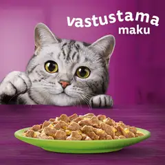 Whiskas 1+ Suosikit Lajitelma hyytelössä (12 x 85 g) - 4