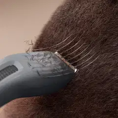 Philips kotiparturi HC3722/15 - 3