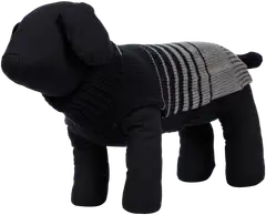 Icepeak Pet Funky neule S musta - 1