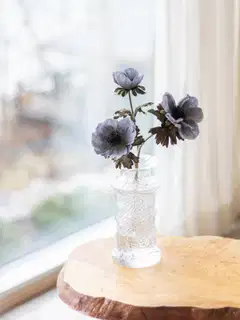 Tekokukka Bloom Deco Anemone - 2