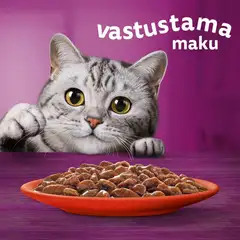 Whiskas 1+ Perinteiset Ateriat kastikkeessa (12 x 85 g) - 4