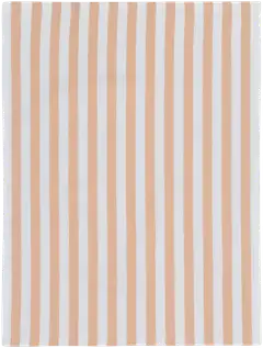 Tex Home keittiöpyyhesetti raita ja frotee 4 kpl beige - 3