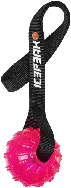 Icepeak Pet geelipallo kädensijalla pinkki - 1
