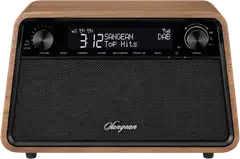 Sangean pöytäradio Bluetooth yhteydellä WR-201D, pähkinäpuu - 2