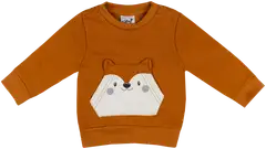 Ciraf vauvojen collegepusero Kettunen 250B254169 - Pumpkin spice - 1