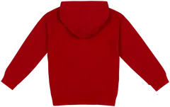 Ciraf lasten huppari plane 25pc261115 - 18-1657TCX SALSA - 2