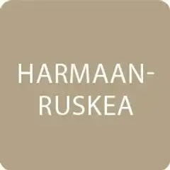 V33 2,5l lattiamaali betonille vesiohenteinen harmaanruskea - 2