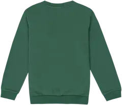 Stitch nuorten jouluinen collegepusero LS20012 - Green - 2