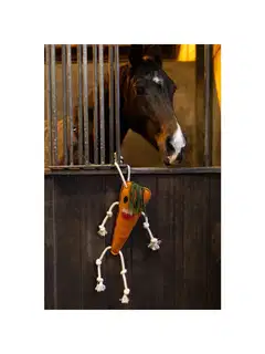 Excellent horse foodie friends heppalelu - 2