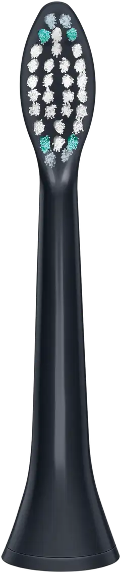 Beurer SC 4 kpl Classic Clean vaihtoharjoja sonic-sähköhammasharjaan - 2