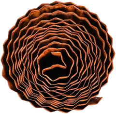 Nurmikon reunusnauha 16 cm x 5 m ruoste - 2