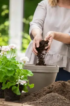 Kekkilä Pelargonimulta 15 l - 2