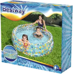 Bestway uima-allas Hedelmä - 2