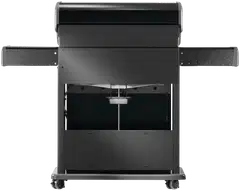 Napoleon Rogue 525-2 kaasugrilli - 2