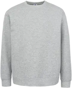 Starter miesten collegepusero Scuba SCMS2601 - Grey melange - 1