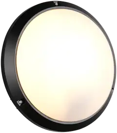 Trio ulkovalaisin Ambato 27 musta IP65 iskunkestävä IK10 seinä- ja kattoasennus - 1