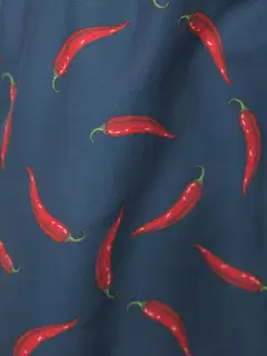 House miesten uimashortsit chili 192H042609 - RED PEPPER PRINT - 6