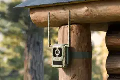 Reolink Talon Pro Camovue 4K 4G akkukamera Ulkona Camo - 5