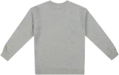 Hot Wheels lasten collegepaita A9-0069 - Grey Marl - 2