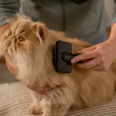 Fiskars lemmikin karsta - 4