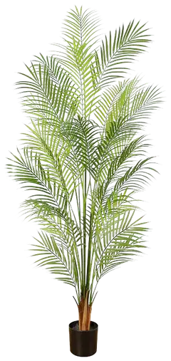 Lykke tekokasvi areca palm 150cm - 1
