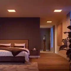 Philips Hue Surimu -paneelivalo 25W 2000-6500K 1760K pieni - 7