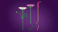 LEGO® Botanicals 11514 Kosmoskukat - 5