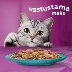 Whiskas 1+ Duo Meren Herkut hyytelössä (12 x 85 g) - 4