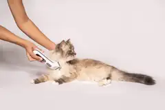 Beurer PP110 Fluffy lemmikin trimmeri - 9