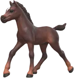 Schleich Keräily Varsat - series 2 - 3