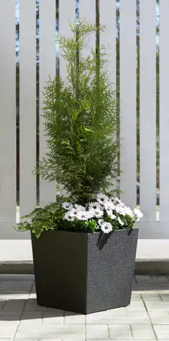 4Living Termoruukku Cubic musta 2 kpl setti - 4