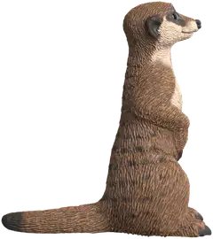 Schleich Mangusti - 3
