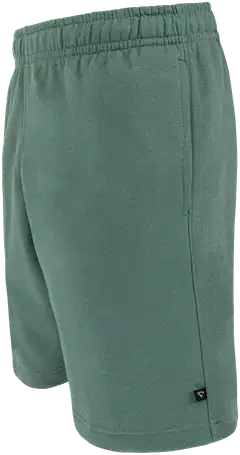 Cheetah miesten collegeshortsit CMS3707 - oak green - 2