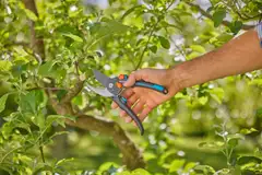 Gardena oksasakset  premiumcut pro flex - 6
