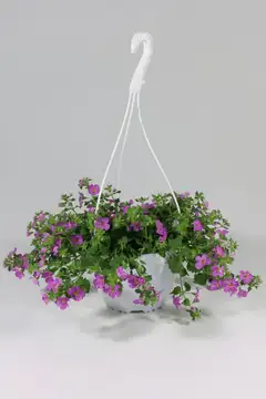 Lumihiutaleamppeli 23 cm - 5