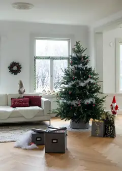 Winteria Joulukuusi Elite 215 cm - 4