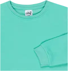 Ciraf lasten collegepusero 25TC260205 - Green - 3