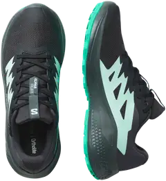 Salomon naisten maastojuoksukengät Alphaglide GTX - phantom/urban chic/waterfall - 7
