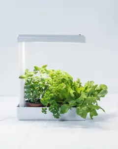 Airam HERBY PLANT 10W/840 650LM - 6